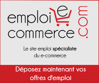 emploi ecommerce